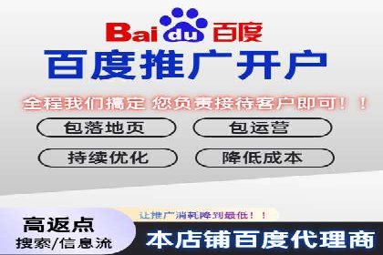 百度竞价价格优化，成功案例解析